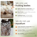 longevity-botanicals-lions-mane-mushroom-3.jpg