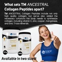 trace-minerals-collagen-peptides---healt-5.jpg