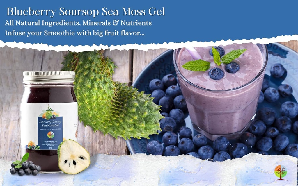 organic-blueberry-and-soursop-fruit-sea--4.jpg