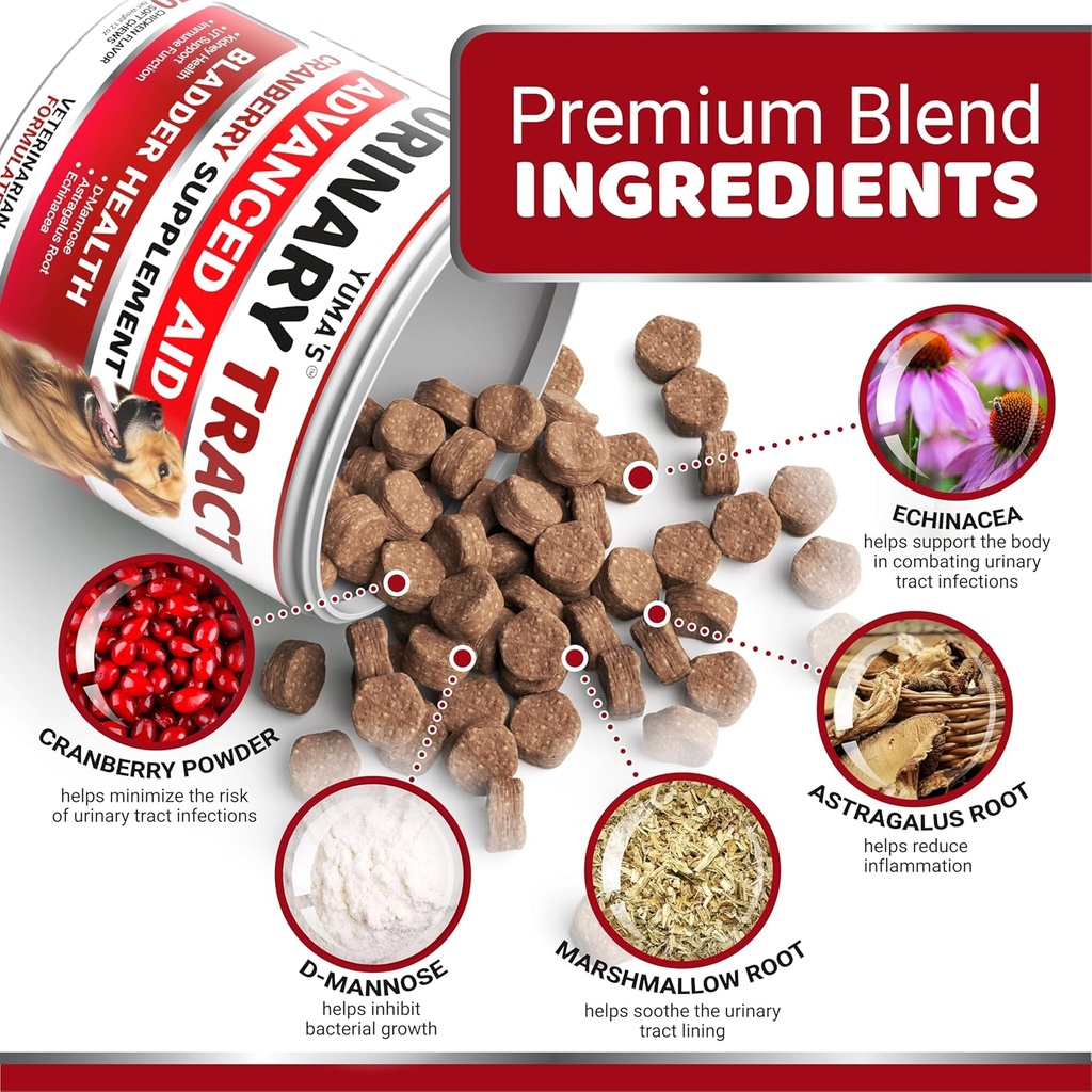 dog-uti-treatment---170-treats---cranber-3.jpg