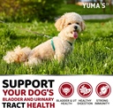 dog-uti-treatment---170-treats---cranber-4.jpg