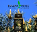 raw-organic-pine-pollen-tablets-60-count-4.jpg
