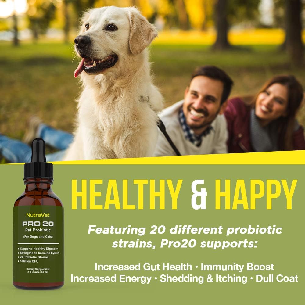 probiotics-for-dogs-and-cat-probiotics---5.jpg