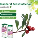 bell-lifestyle-products-bladder-health-y-4.jpg