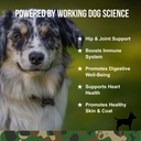 operation-good-boy-10-in-1-multivitamin--2.jpg