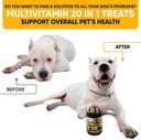 20-in-1-dog-multivitamin-supplements---i-2.jpg