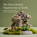 gaia-herbs-immune-mushroom-blend---immun-2.jpg