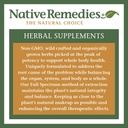 native-remedies-fatigue-fighter---all-na-6.jpg