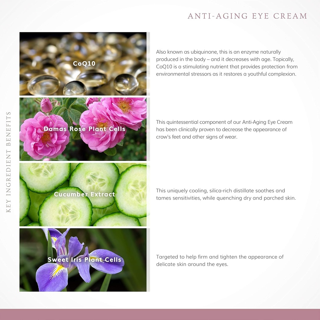annmarie-skin-care-anti-aging-eye-cream--5.jpg