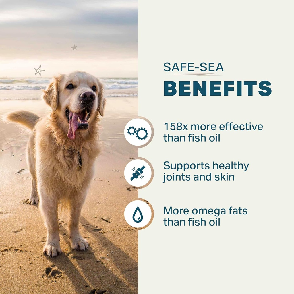 protect-safe-sea-3.jpg