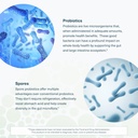 youtheory-spore-probiotic---6-billion-cf-5.jpg