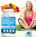 bio-vitalica-sea-moss-ashwagandha-gummie-5.jpg