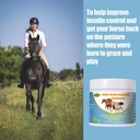 insulin-resistance-supplement-for-horses-6.jpg