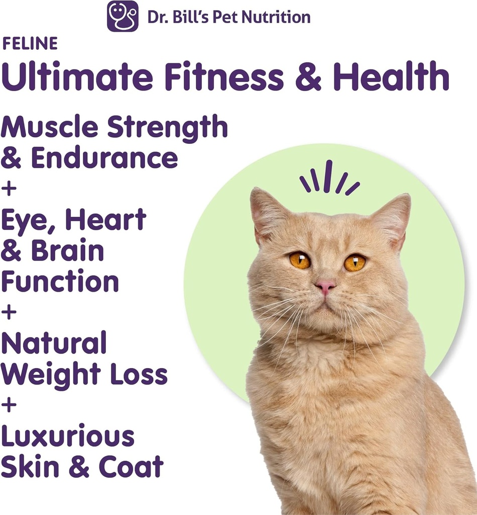 dr-bills-feline-ultimate-fitness-health--3.jpg
