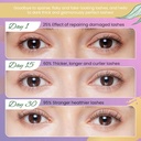 eyelash-growth-serum-all-natural-lash-en-2.jpg