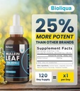 bioliqua-mullein-drops-for-lungs---high--3.jpg