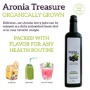2-x-aronia-treasure-100-aronia-chokeberr-6.jpg
