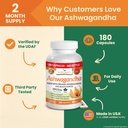 udaf-verified-organic-ashwagandha-with-b-4.jpg