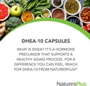 natures-plus-dhea-10-with-bioperine---10-4.jpg