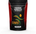 fadogia-agrestis-extract-pills-maximum-s-5.jpg