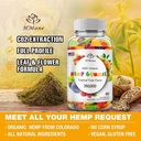 1-packs-organic-hemp-gummies-extra-stren-2.jpg