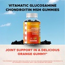 vitamatic-extra-strength-glucosamine-cho-4.jpg