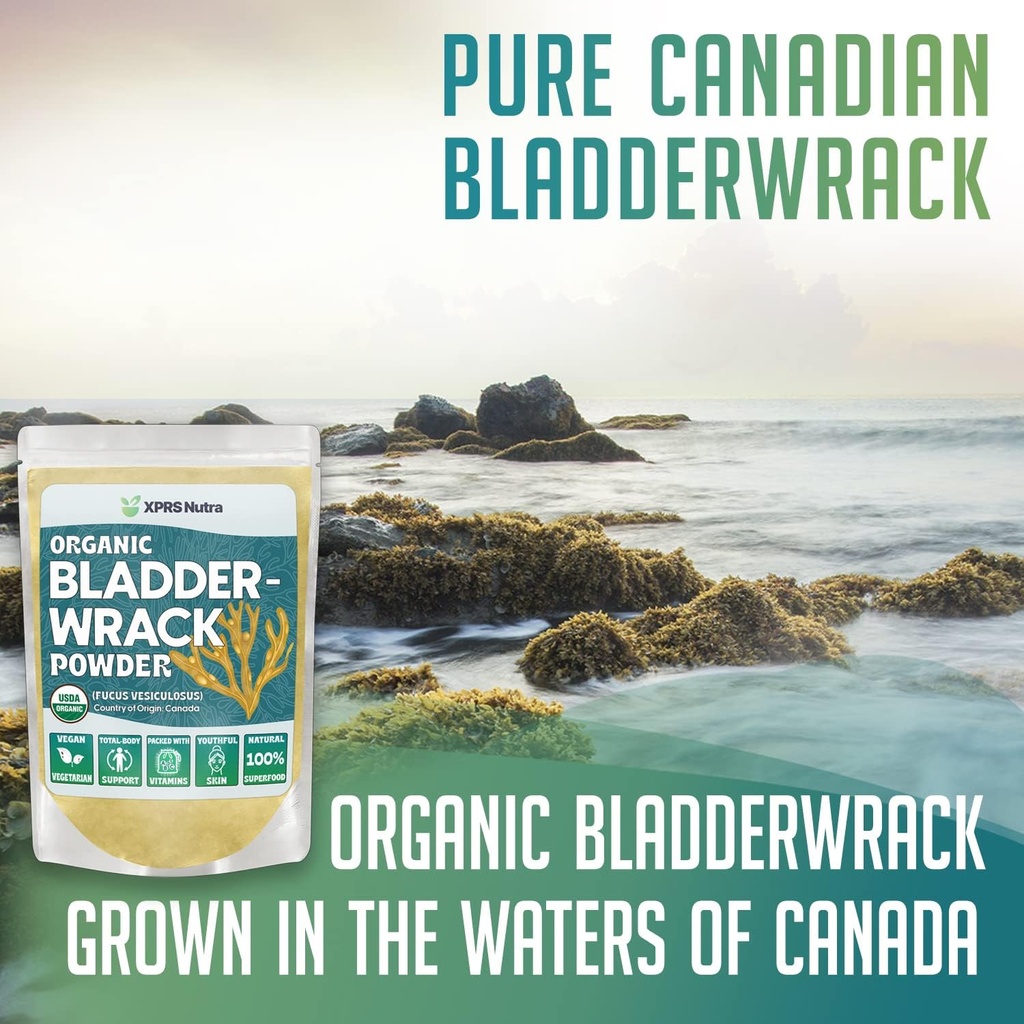 xprs-nutra-organic-bladderwrack-powder-f-2.jpg