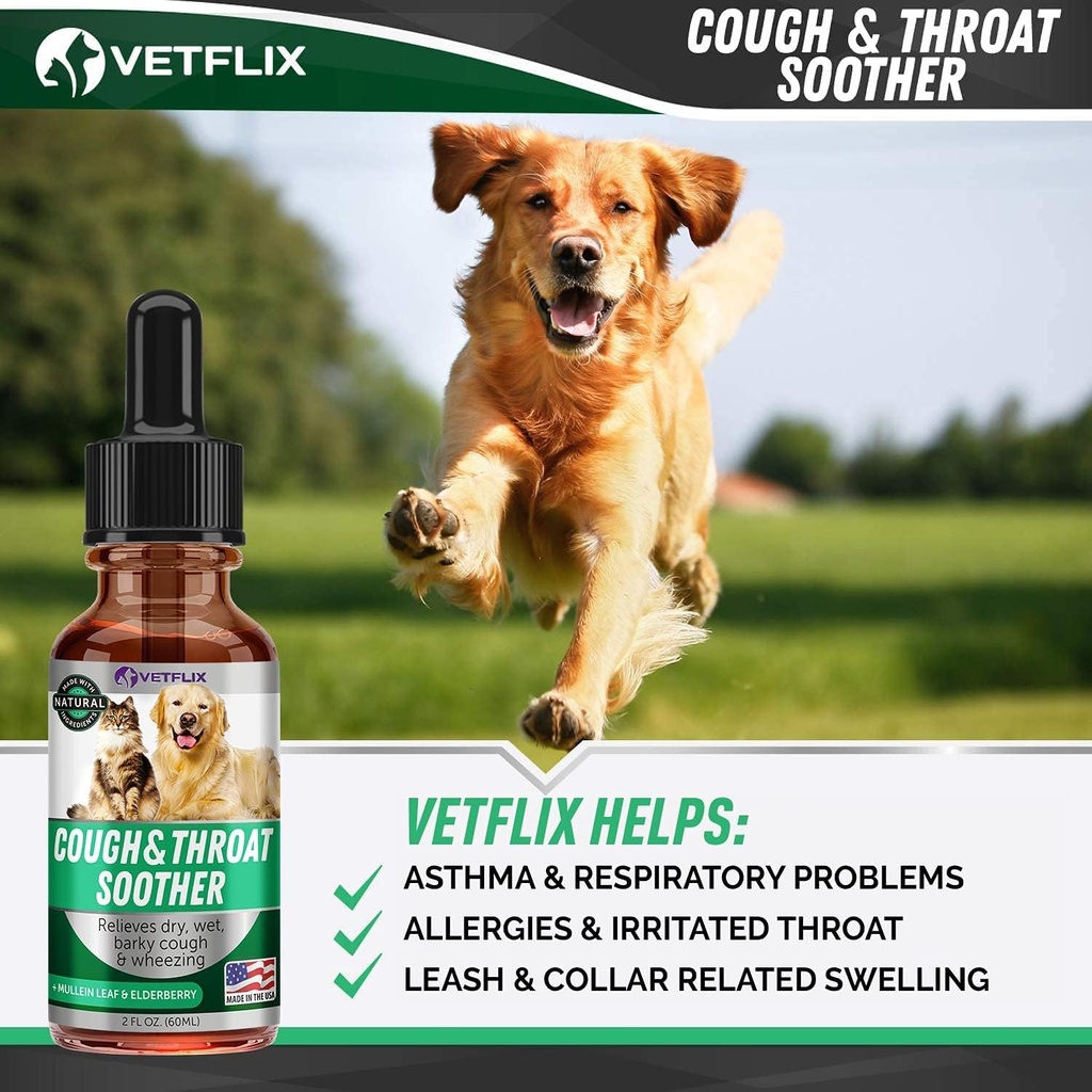 kennel-cough-treatment-for-dogs-cats---m-2.jpg