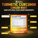 6-in-1-turmeric-curcumin-ginger-capsules-4.jpg