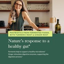 gaia-herbs-ginger-turmeric-postbiotic----5.jpg