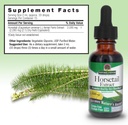 natures-answer-alcohol-free-horsetail-he-3.jpg