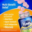 tums-plus-upset-stomach-nausea-support-d-2.jpg