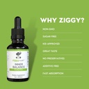 ziggy-health-inner-balance-tincture---in-2.jpg