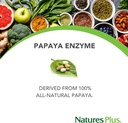 natures-plus-papaya-enzyme---6-mg-papain-3.jpg