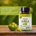 amla-120-tablets-usda-organic-indian-goo-2.jpg