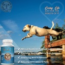 pure-omega-3-wild-fish-oil-for-dogs-with-3.jpg