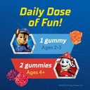 lil-critters-paw-patrol-gummy-vites-dail-5.jpg