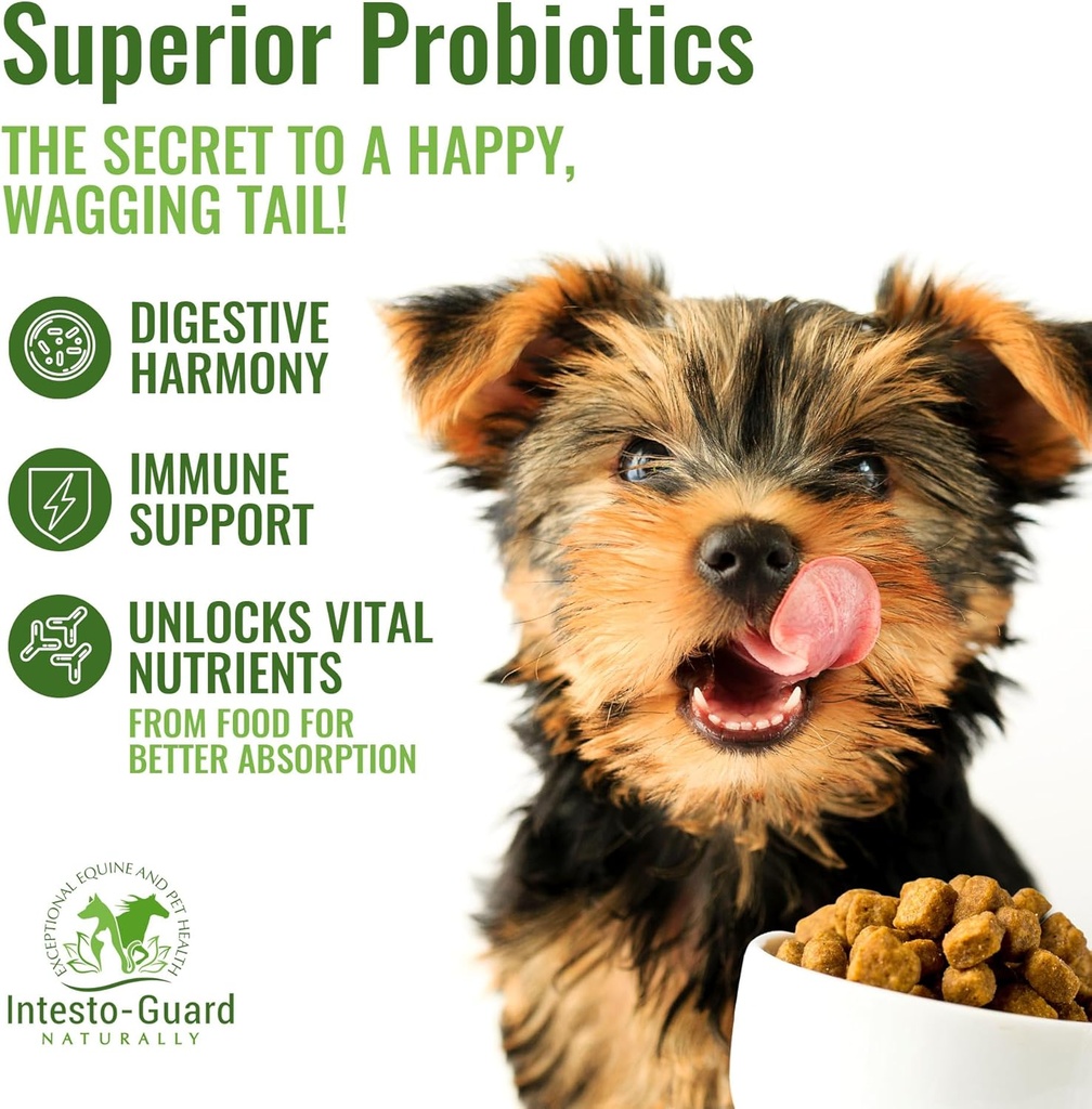 powder-probiotics-for-dogs-cats-bowel-di-4.jpg