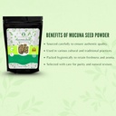 mucuna-seed-powder-200-gm-kapikacchu-kau-5.jpg