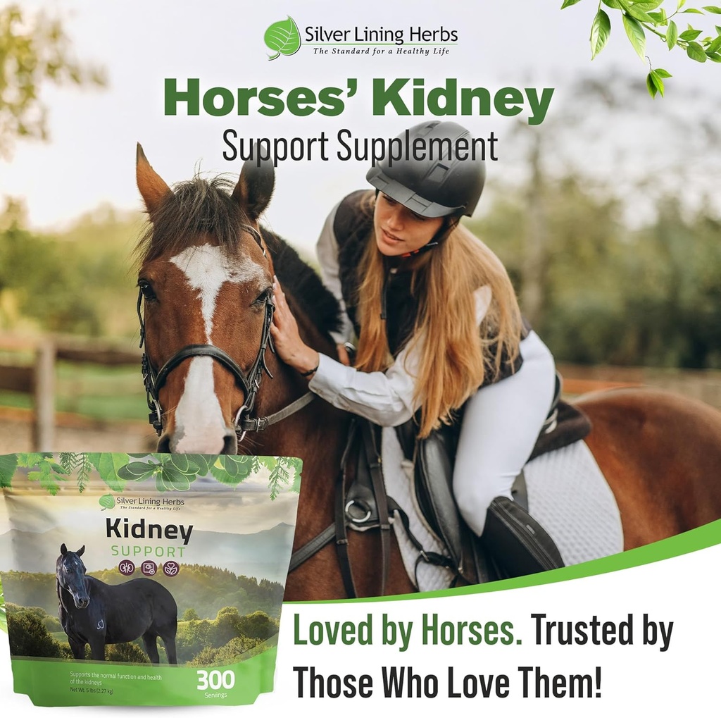 silver-lining-herbs-kidney-support-suppl-6.jpg