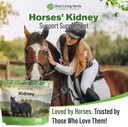silver-lining-herbs-kidney-support-suppl-6.jpg