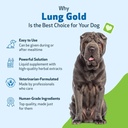 pet-wellbeing-lung-gold-for-dogs-cats----5.jpg