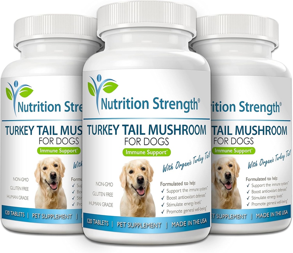 turkey-tail-mushroom-for-dogs-to-support-5.jpg