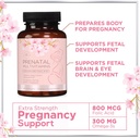 prenatal-vitamins-for-women-with-folic-a-6.jpg