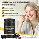 shilajit-gummies-pure-himalayan-shilajit-3.jpg