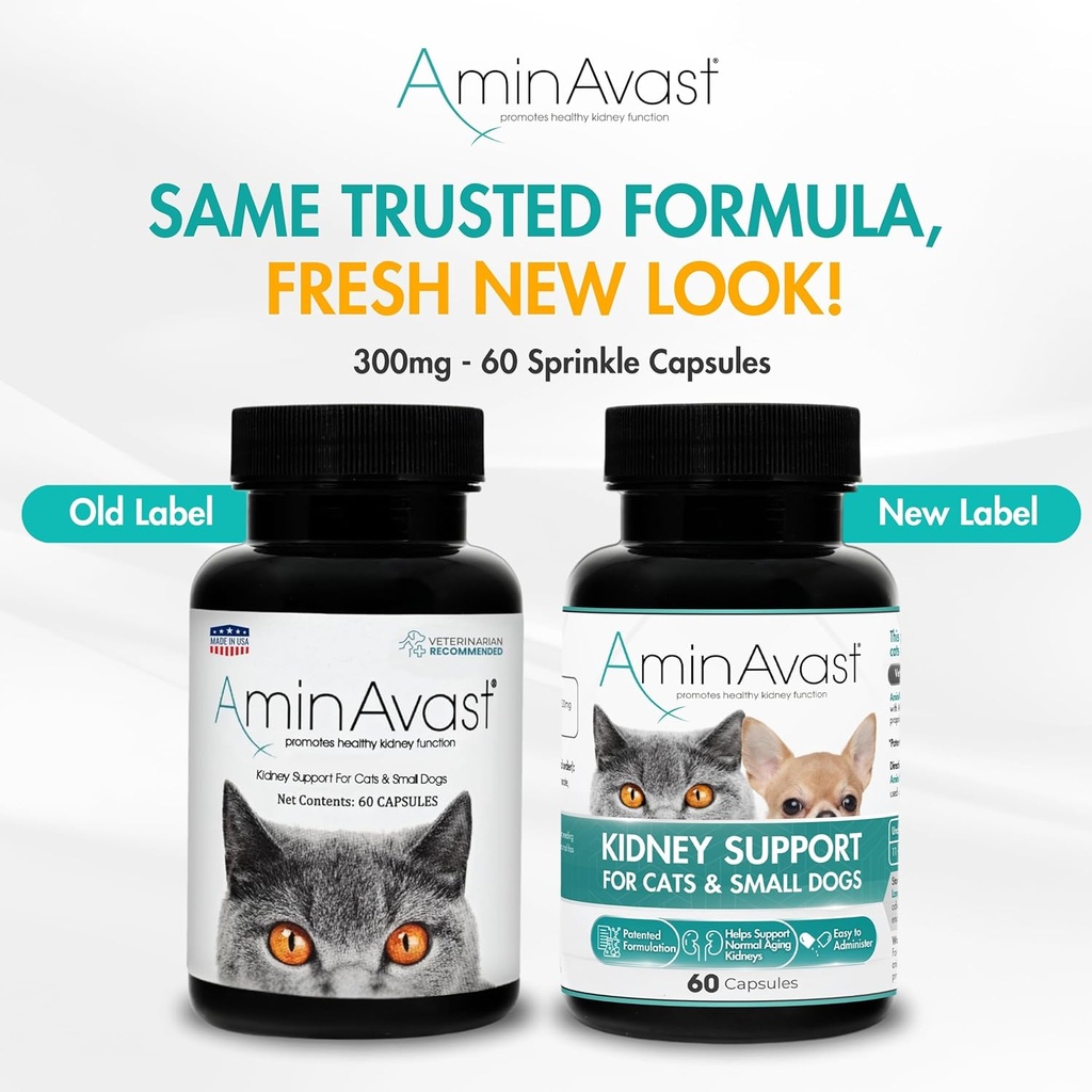 aminavast-small-dogs-cat-kidney-support--2.jpg