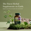 gaia-herbs-nootropic-focus---brain-cogni-2.jpg