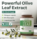 super-strength-olive-leaf-extract-capsul-2.jpg