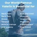 valerian-natural-relaxant-for-tension-re-4.jpg