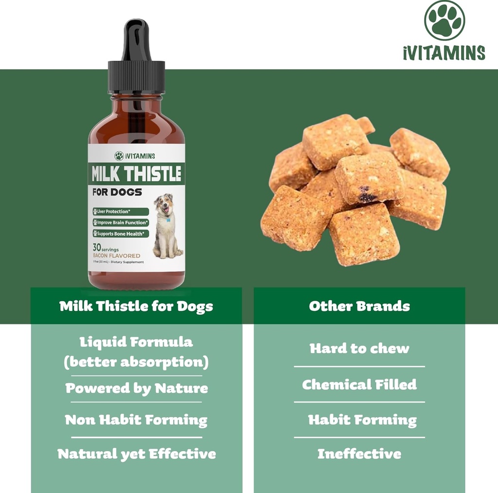 milk-thistle-for-dogs-supports-liver-and-4.jpg